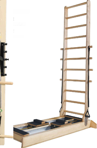 Double Ladder Bed